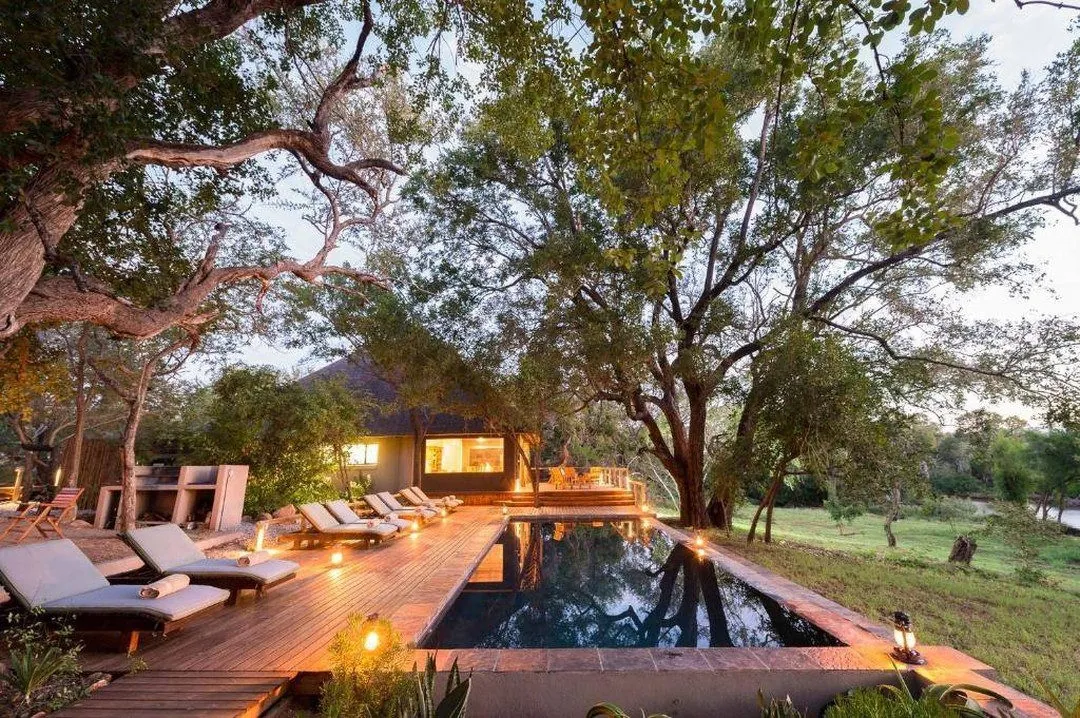 Honeymoon Safari